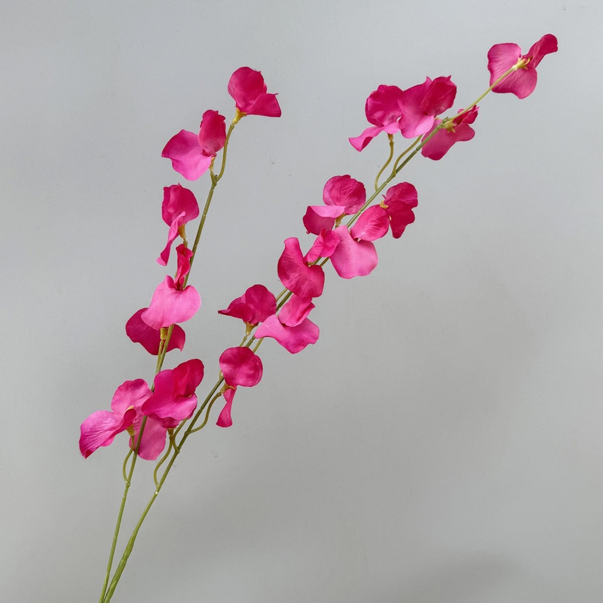 Fleur de haricot-rose rouge-100cm