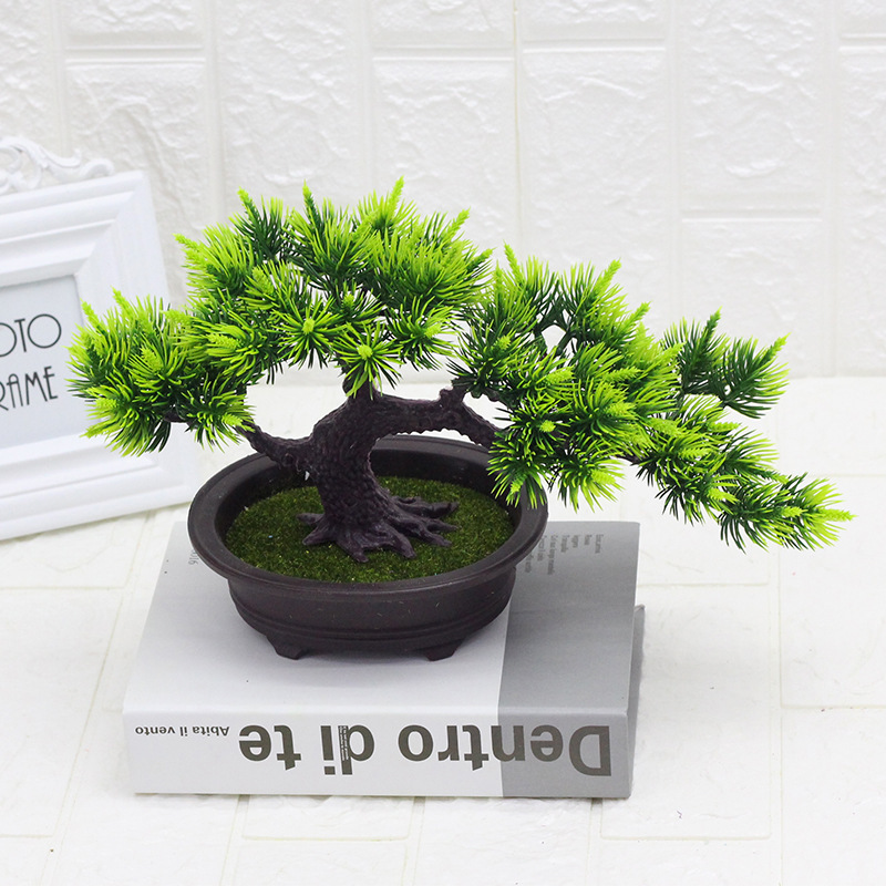 Ago di pino Bonsai verde chiaro
