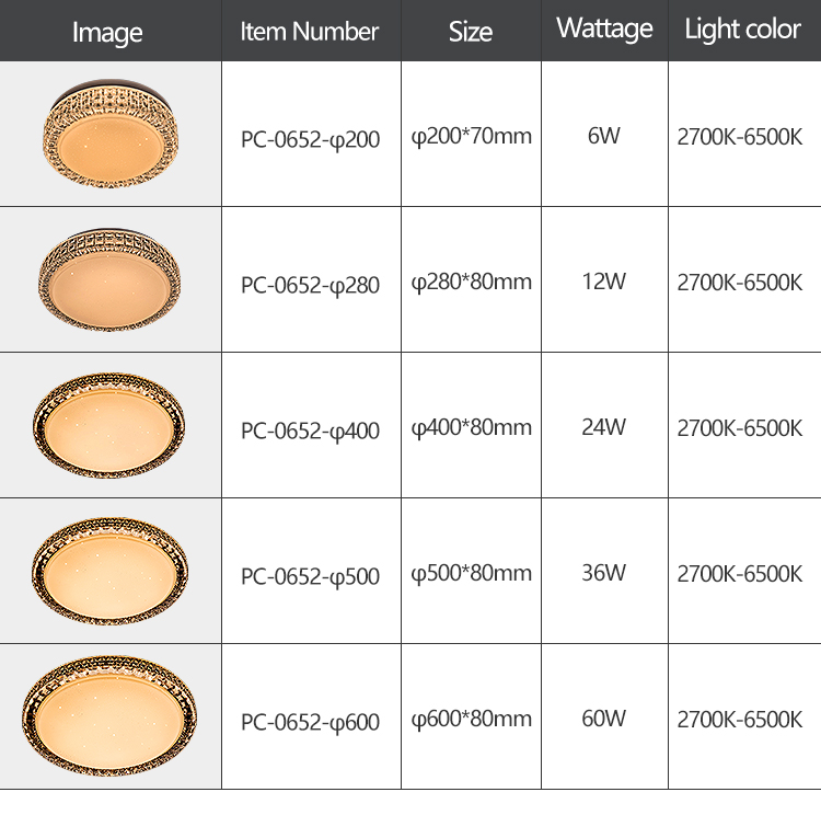 Long Term Use Acrylic Plastic Shade 6W 12W 24W 36W 60W Decorative LED Ceiling Light