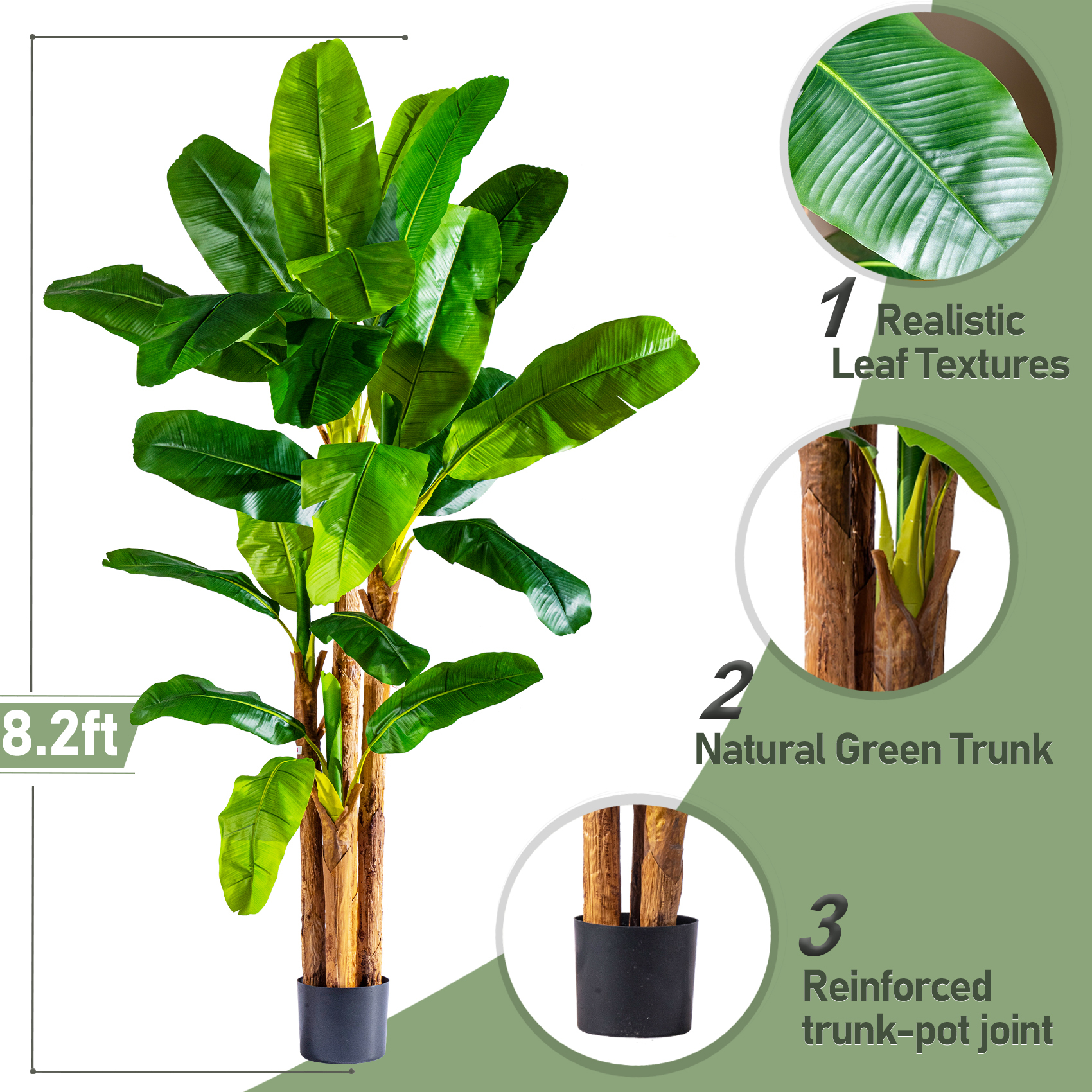 Banana Tree 8.2ft Green