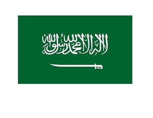 Çin'den suudi arabistan'a hızlı DDP hava taşımacılığı iletici abd bae ekspres teslimat LCL + Express için gümrük lojistik desteği - Product Image 1