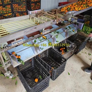 Selezionatrice del grado della palma della data 600kg/selezionatrice rotonda della frutta/prezzo della macchina di classificazione del pomodoro della ciliegia - Product Image 5