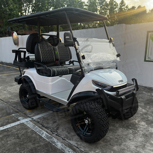 Shininglsv bán buôn sang trọng Golf điện Buggy điện off road Golf giỏ hàng để bán - Product Image 2