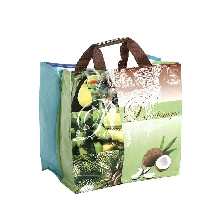 Chinese manufacturer Hot sell full printing pp woven waterproof bag for shopping