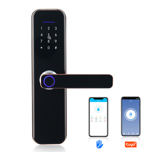 TTlock Wifi telecomando Smart Lock M1 controllo accessi per porte di sicurezza domestica serratura antifurto serratura biometrica per impronte digitali