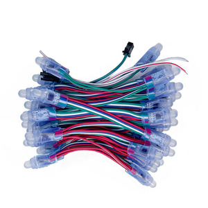 Adressable DC5V <strong>LED</strong> <strong>Pixel</strong> Modules IP68 Smart 12V Digital Smart Light String <strong>LED</strong> <strong>Pixel</strong> 12MM - Product Image 1