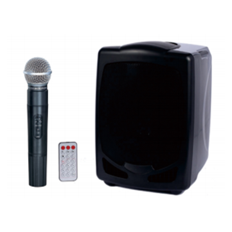 Mic unique