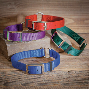 LT Sport Harnais réglable pour animaux de compagnie Collier/laisse imperméable à haute élasticité Couleur solide Finition mate givrée Résistance à l'abrasion - Product Image 5