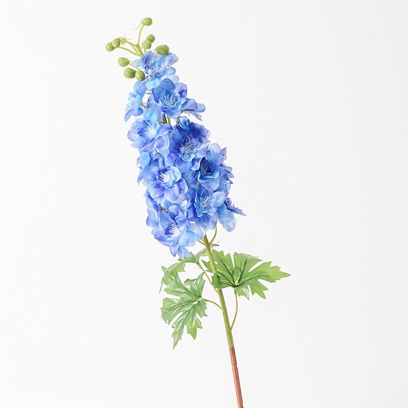 Bleu 1