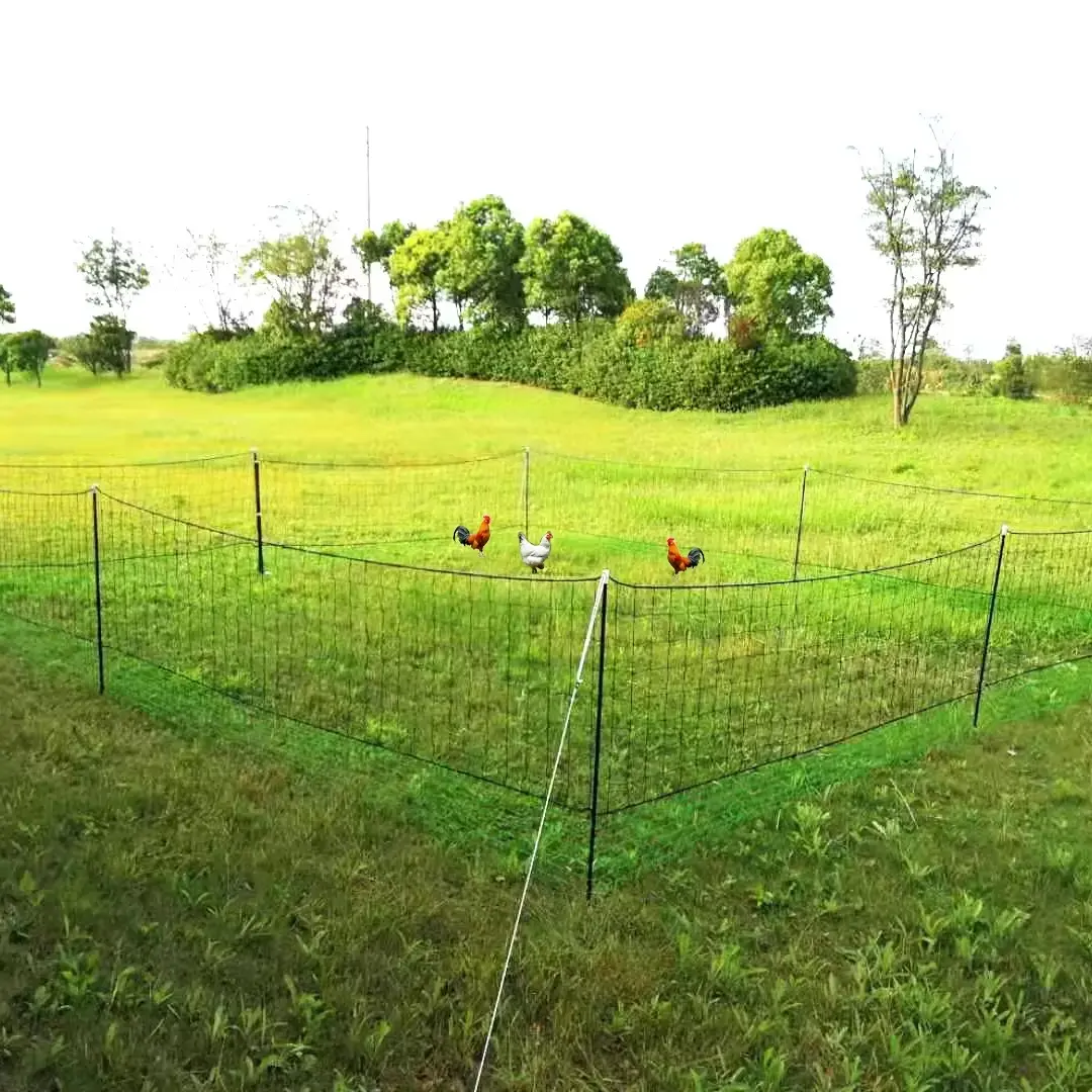 Leveren Groen Zwart Gevogelte Gaas Kippenboerderijnet Voor Dieren Konijnenhondeneend