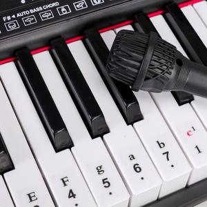 HUASHENG Smart Light-up 61 <strong>Keys</strong> Electric Organ <strong>Keyboard</strong> Instruments Teaching <strong>Function</strong> MP3 Playback Electric Piano for Beginners - Product Image 4