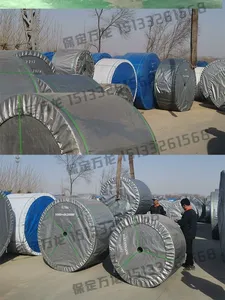 Endüstriyel konveyörler ve taşıyıcı bantlar için sıcak satış çin aşınmaya dayanıklı tarım ekipmanları - Product Image 4