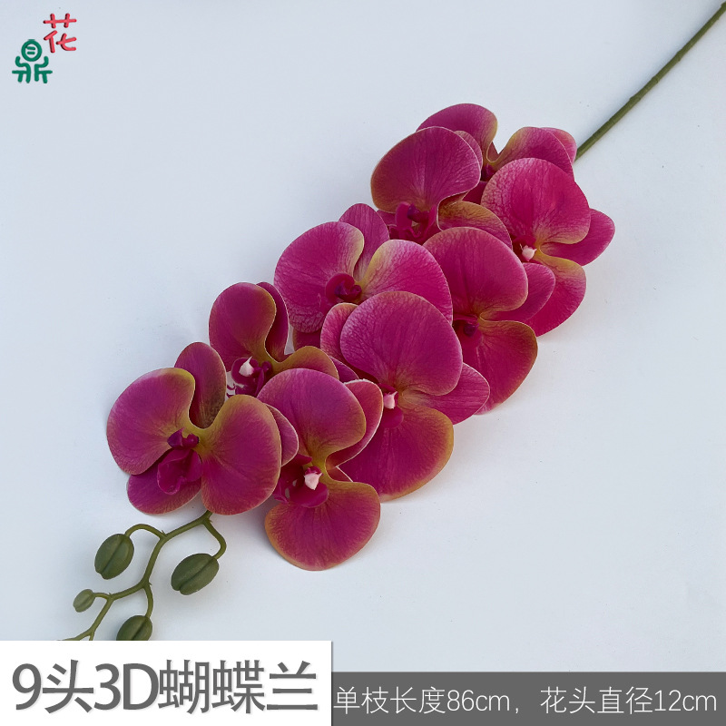 9 têtes 3D Phalaenopsis LFY Rose rouge