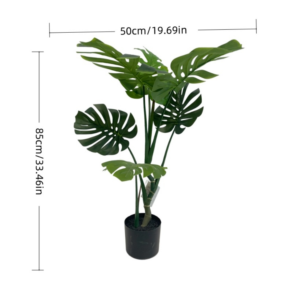 XY2502-775 80CM