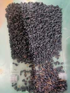 Wenyao High Resolution Optical Dried Fruit <strong>Cocoa</strong> <strong>Bean</strong> <strong>Sorting</strong> Raisin <strong>Color</strong> Sorter <strong>Machine</strong> - Product Image 5