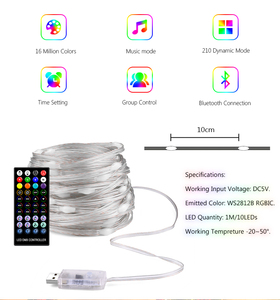 10M noel düğün parti dekorasyon WS2812B SK6812 piksel RGB 100 LED peri dize işık adreslenebilir ayrı ayrı USB DC5V 5. - Product Image 4