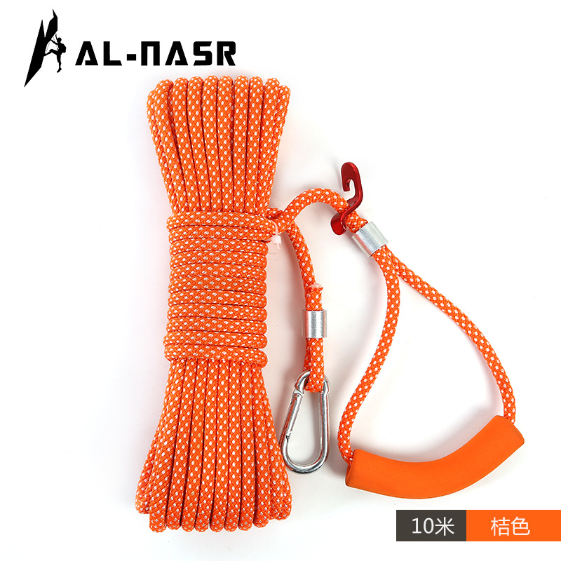 Bellflower color 10 meters