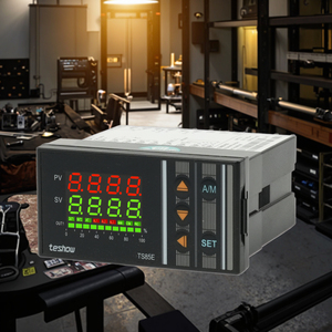 Controlador de termostato PID Teshow TS85E, controlador de temperatura de 96*48mm de salida, todas las entradas, Material plástico, compatible con OEM y ODM - Product Image 1