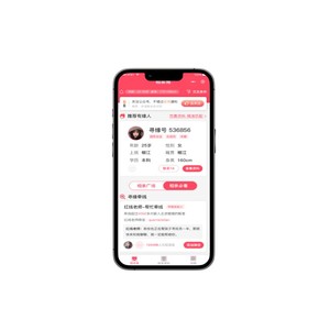 Anpassbares Online-Chat-System für die Entwicklung von Desktop-Anwendungen für Heiraten und soziale Dating