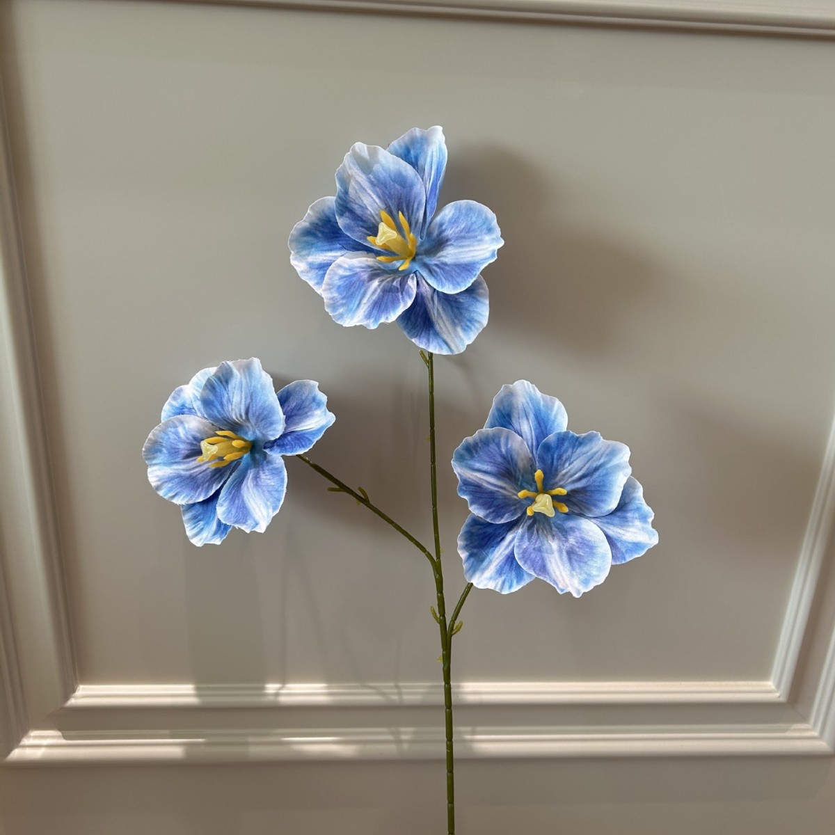 Xkl three open tulip blue