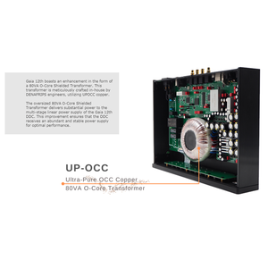Denafrips GAIA 12th DDC Interface <strong>Digital</strong> USB Coaxial AES EBU OCXO Crystal Oscillator Clock <strong>Input</strong> IIS I2S RJ45 <strong>Output</strong> - Product Image 4