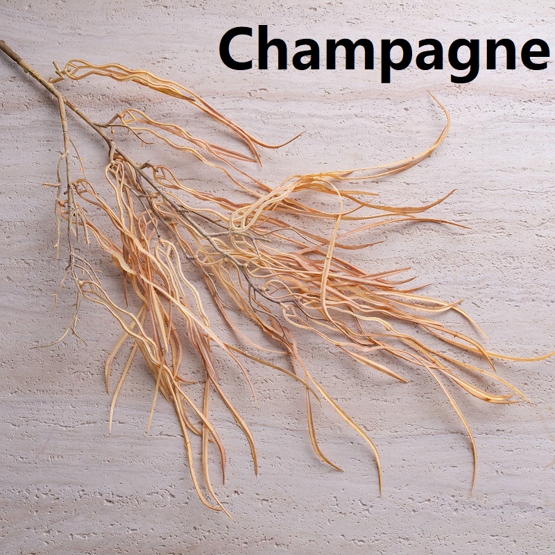 Champagne