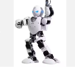 Intelligenter Bildungs roboter Grundschüler Unterrichten Programmierung Ai Robot - Product Image 1
