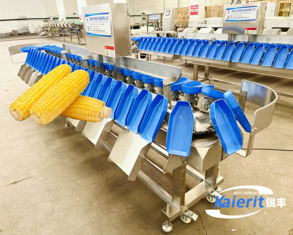 Machine de nettoyage de traitement de maïs la plus avancée machine de séchage à l'air trieuse de poids ligne de production trieuse de maïs
