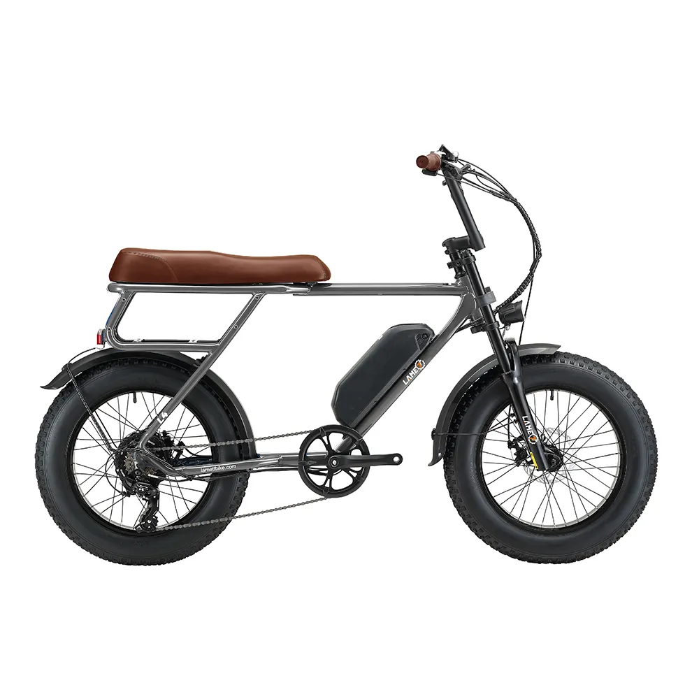 Bicicleta elétrica para adultos, tubo de bateria de lítio com pneu gordo, bicicletas elétricas de 20 polegadas, 48v, 250w, 25 km/h, equipamento com engrenagem de 7 velocidades, frete grátis, armazém da UE