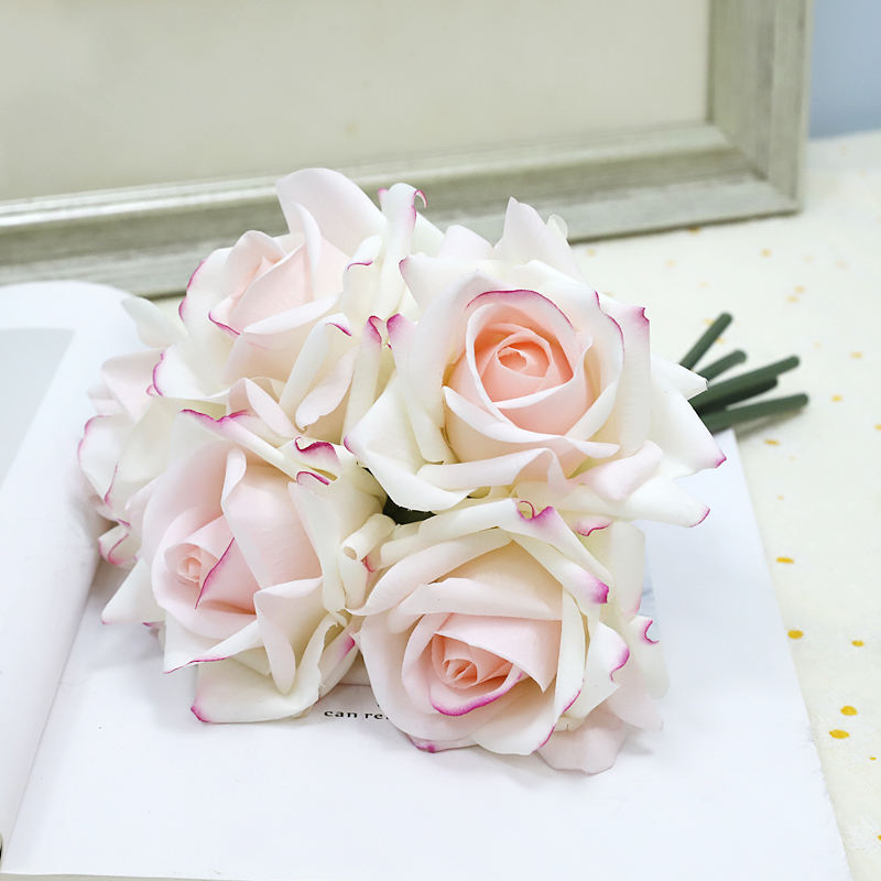 สีขาวชมพูขอบม่วง