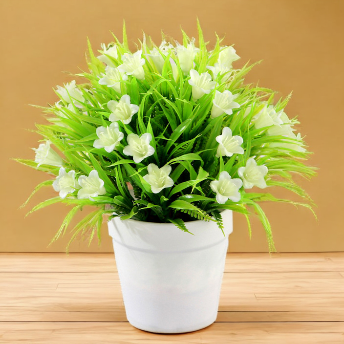 Lys blanc