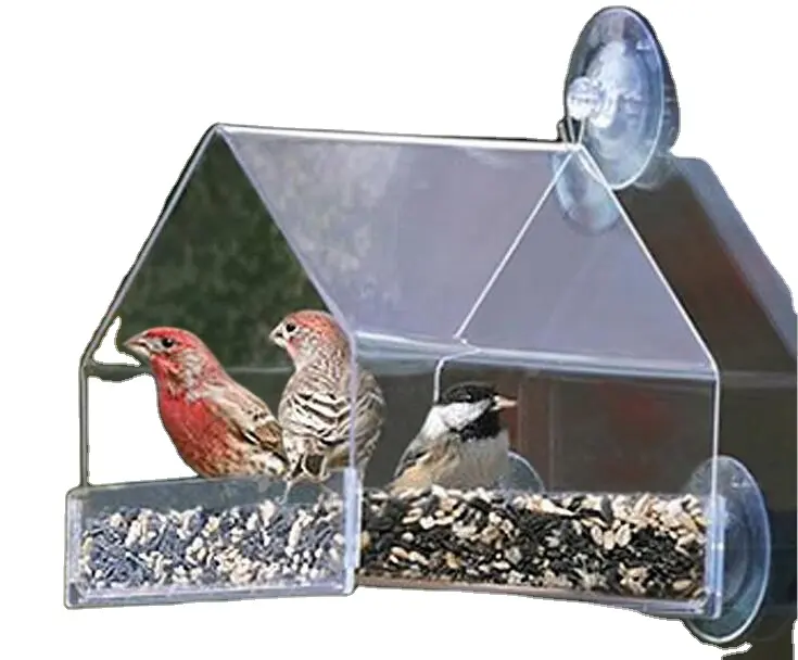 Acryl tier/vögel vitrine