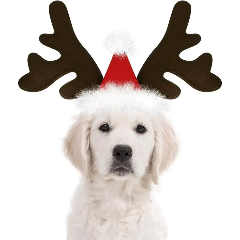 Noël chien fournitures renne bois bandeau Santa chapeau animal de compagnie noël Cool chien Costume mignon chapeaux accessoires