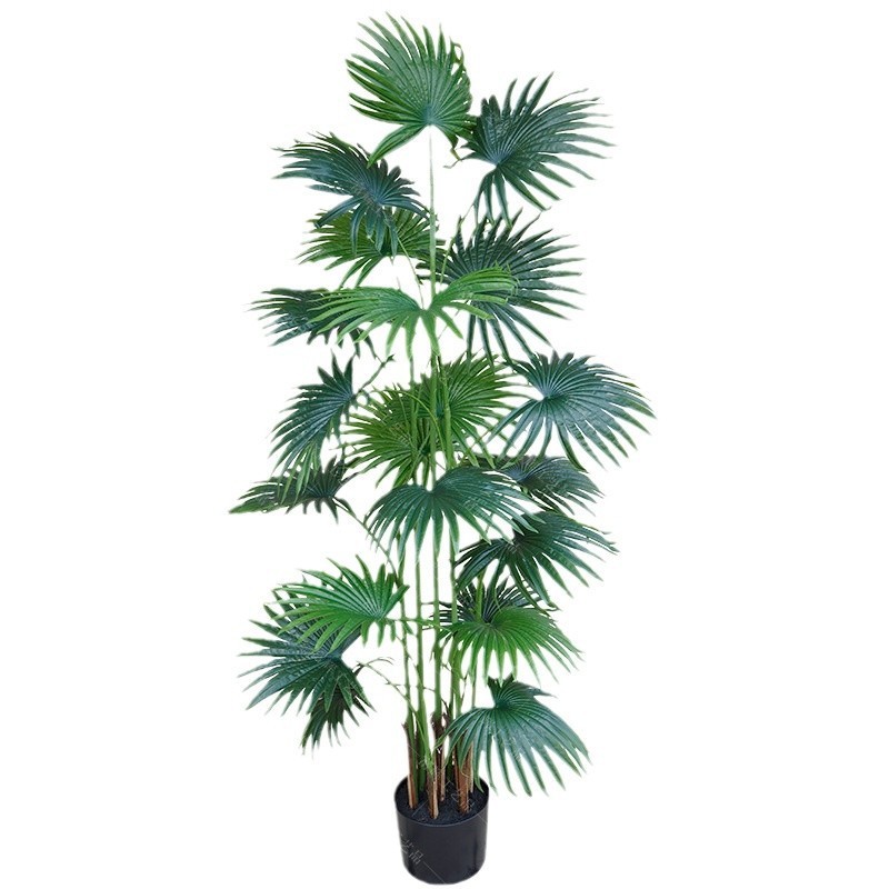 1.2-meter 4-stem 15-leaf mini palm tree with a black pot
