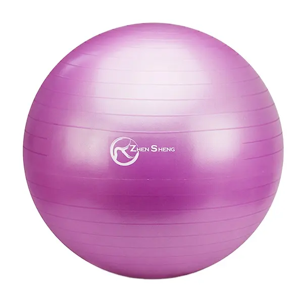 Zhensheng individueller logo yoga-ball fitnessstudio trainingsball fitnessgeräte fitnessstudio trainingszubehör pilatesball