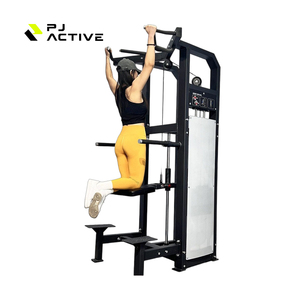 PJ çok fonksiyonlu güç Pull-Up eğitmen kol kıvırmak paralel barlar Fitness ekipmanları üretici yukarı çekin güç kulesi istasyonu - Product Image 3