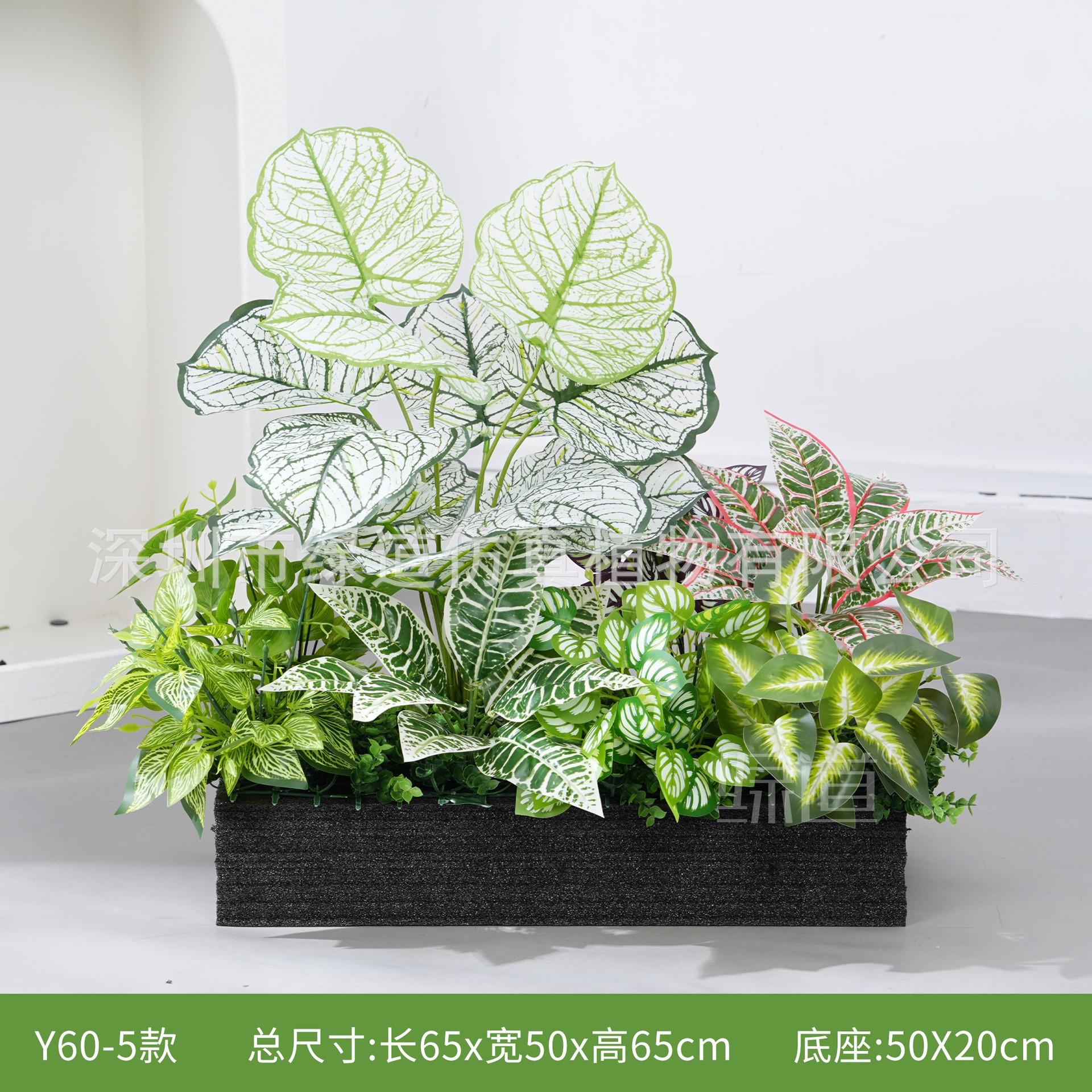 hc-Y60-5 convient aux jardinières de 60 cm