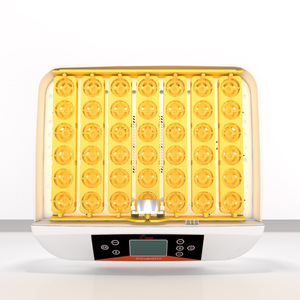 HHD doppio ABS materiale 42A sistema di incubatore di controllo automatico del Computer