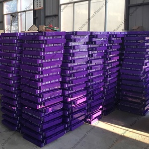 Tùy Chỉnh Thiết Kế Chip Hiển Thị Nhựa Rack Crisp Merchandising Đứng POP Cookie Hiển Thị Đứng Mock Up Hiển Thị Cho Trung Tâm Mua Sắm - Product Image 5