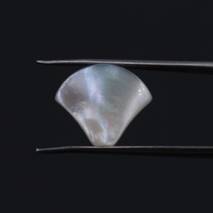 Customize Natural Mother of Pearl <strong>Shell</strong> Dress Shape Natural White <strong>Shell</strong> Fan <strong>Shell</strong> - Product Image 3