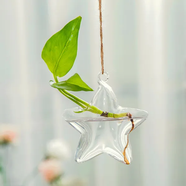 Terrario vaso appeso in vetro bottiglia pianta decorazione floreale giardino di casa stile vaso di fiori appeso