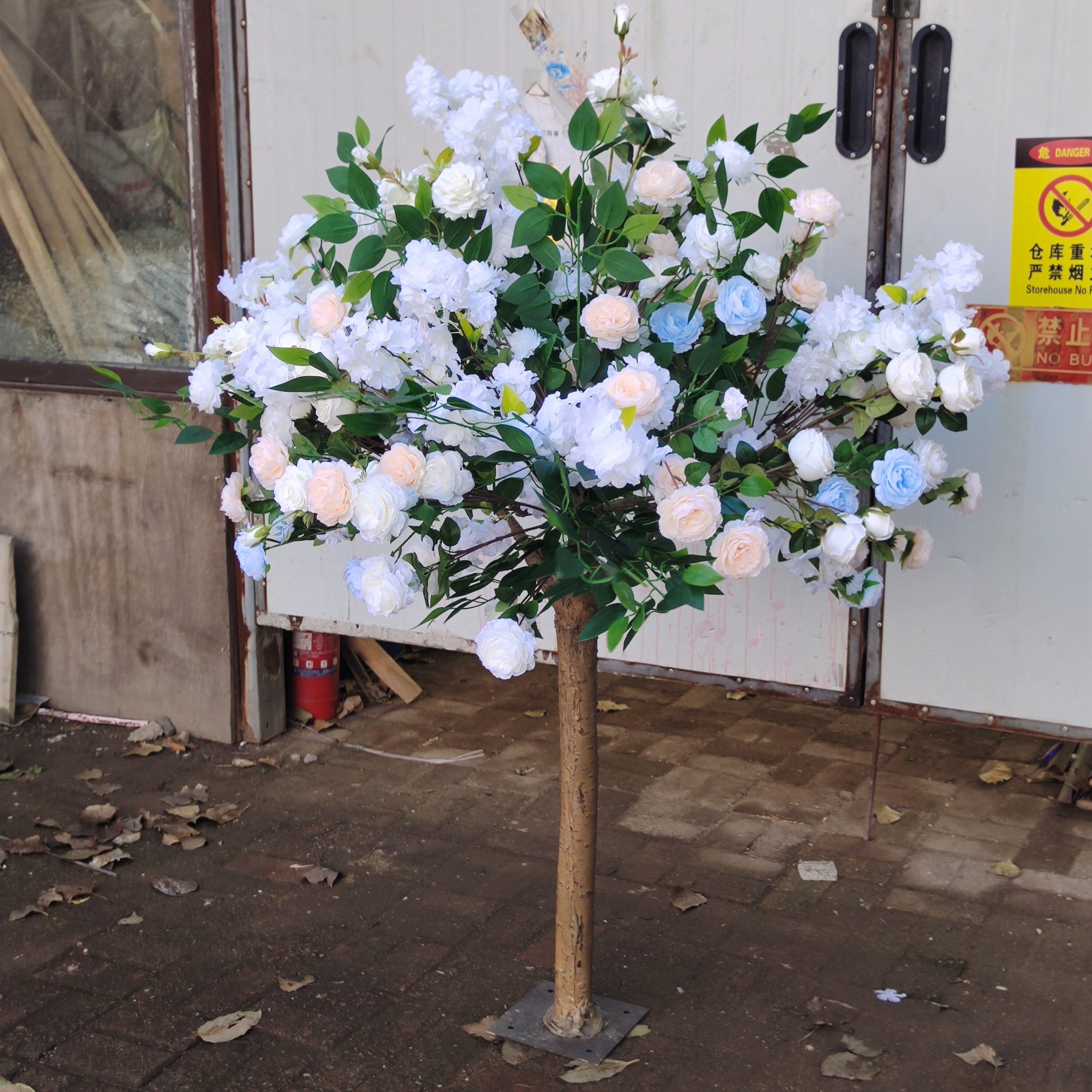 peony tree