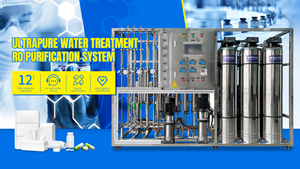 500L Deionized Edi מים טיפול מסנן טיהור מכונה Edi מערכת Deionizer צמח