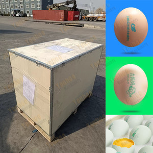 Автоструйный кодер для яиц - Product Image 5