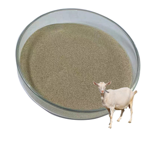 Biofloc Biofloc Probiotics Fish Bacillus Subtilis Fermentation - Product Image 4