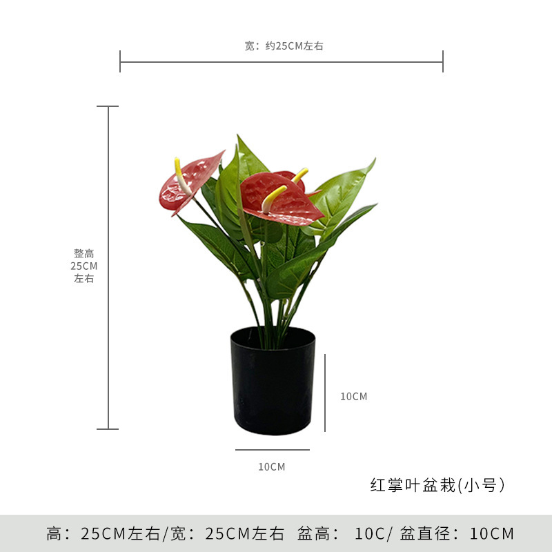 Feuille d'Anthurium Petite Taille 25CM