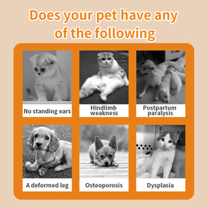 Supplément de qualité du système immunitaire pour chiens et chats Solution orale d'électrolyte de glucose améliore les soins de santé pour animaux de compagnie - Product Image 2