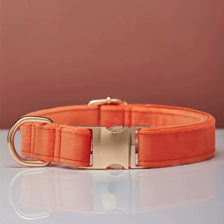 Orange corail