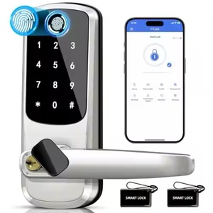 Kolay kurulum anahtarsız giriş kapı kilidi kolu elektronik akıllı sürgülü kilit dış ön kapı için - Product Image 1