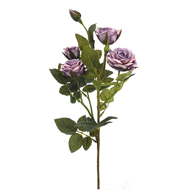 Gris Púrpura